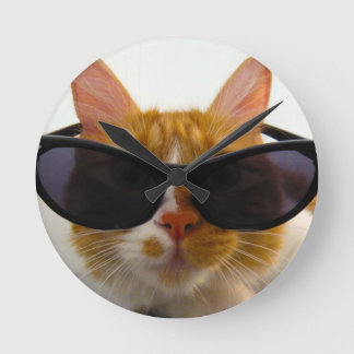 Den kalla katten som ha på sig solglasögon, tar rund klocka