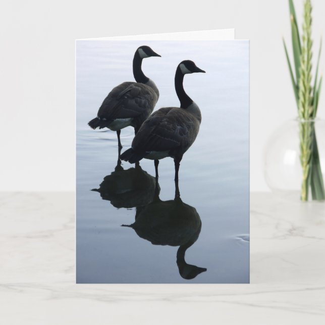 Den Kanada gåsen Cards kort för Kanada (Framsida)
