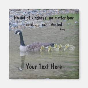 Den Kanada gäss agerar av den inspirera magneten Magnet