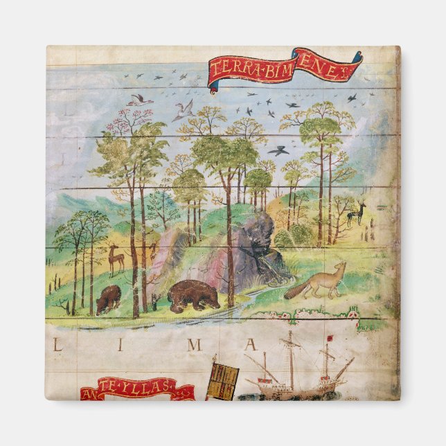 Den kanadensiska skogen magnet (Framsidan)