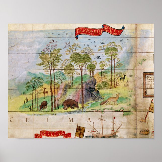 Den kanadensiska skogen poster (Framsidan)