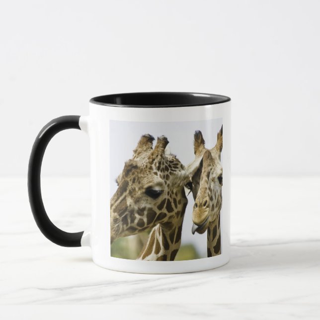 Den kända giraffet härledas från det arabiska ord mugg (Vänster)