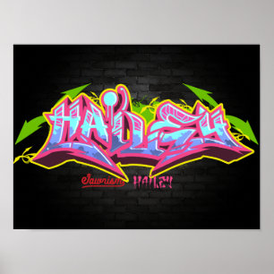 Den kända Haileyen i grafitti Poster