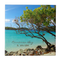 Den kanelbruna fjärden tropiska St John USVI