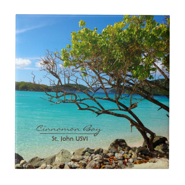 Den kanelbruna fjärden tropiska St John USVI Kakelplatta (Framsidan)
