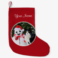 Den katt- och Santa snögubbejulen personifierar