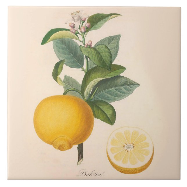 Den keramiska brytningen belägger med tegel den kakelplatta (Framsidan)