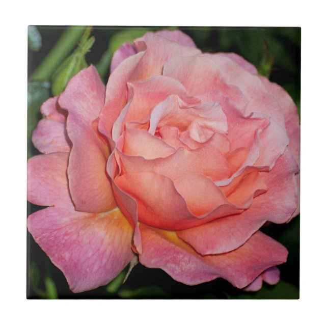 Den keramiska engelskaron belägger med tegel kakelplatta (Framsidan)