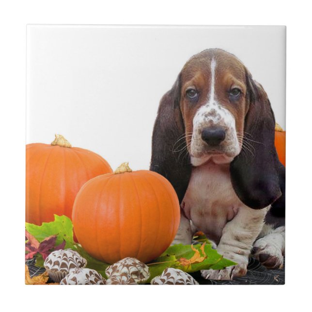 Den keramiska Halloween Bassethunden belägger med Kakelplatta (Framsidan)
