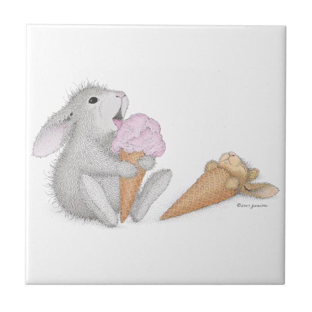 Den keramiska HappyHoppers®en belägger med tegel Kakelplatta (Framsidan)