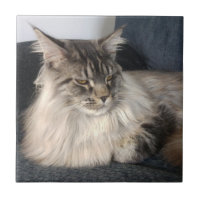 Den keramiska Maine Coonkatten belägger med tegel