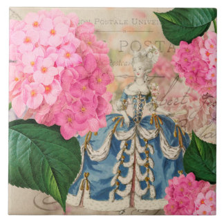 Den keramiska Marie Antoinette Redoute vanlig Kakelplatta