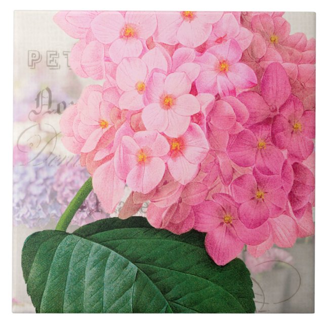 Den keramiska rosa vanlig hortensia belägger med kakelplatta (Framsidan)