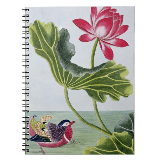 Den kinesiska röda näckrosen, volym pläterar jag, anteckningsbok (Framsidan)