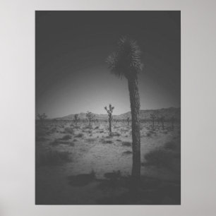 Den kinesiska svarta och vita Fält i Joshua Träd Poster