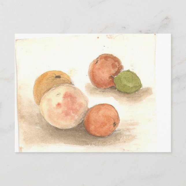 den klassi e iguana-natten vykort (Framsida)