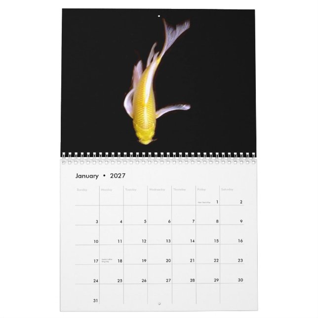 Den Koi serien, vid skräddarsy syster C - Kalender (Jan 2027)