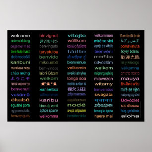 Den kolossala välkomnandet i 80 språk poster - 5