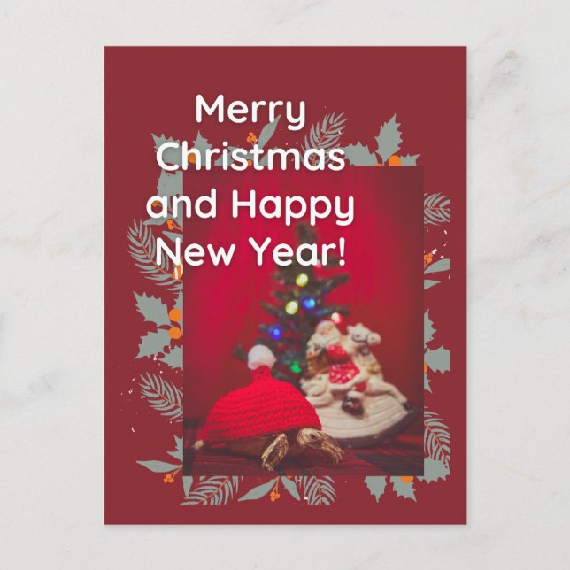 Den kommande julen Baby Sulcata Tortoise i röd hat Vykort (Framsida)