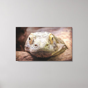 Den Komodo draken fotograferar med ledset ansikte Canvastryck