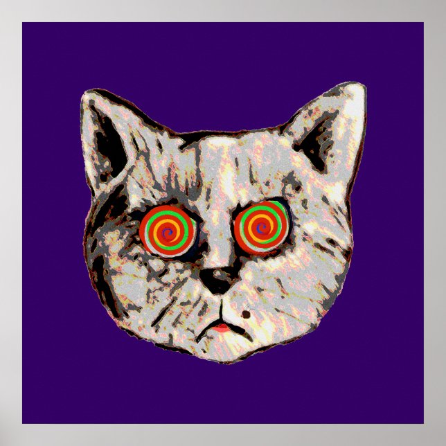 Den konstiga galna katten poster (Framsidan)