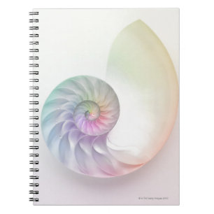 Den konstnärliga kulöra nautilusen avbildar anteckningsbok med spiral