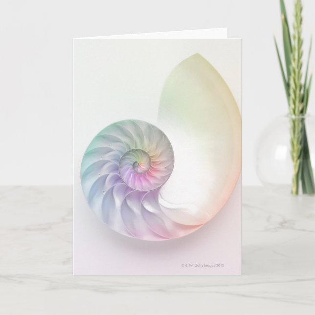 Den konstnärliga kulöra nautilusen avbildar kort (Framsida)
