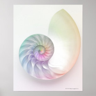 Den konstnärliga kulöra nautilusen avbildar poster