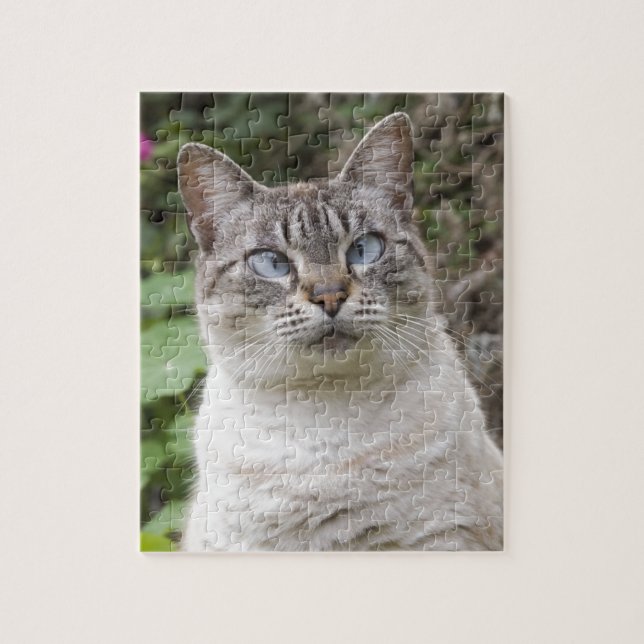 Den kor synade katten pussel (Vertikal)