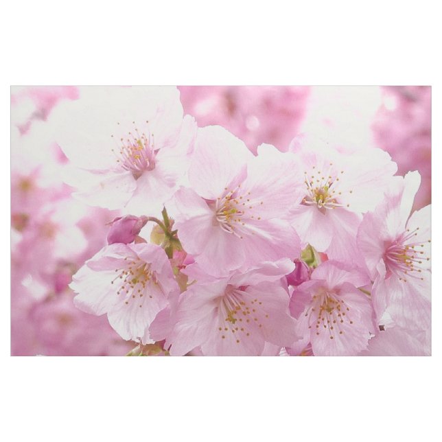 Den körsbärsröda blommar blommar sömnadtyg tyg (Fat Quarter)