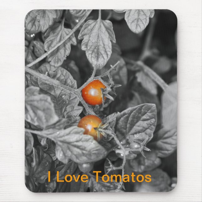 den körsbärsröda tomatmusen vadderar musmatta (Framsidan)