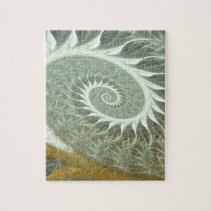 Den kosmiska spiralen - guld- spiral för sakral pussel
