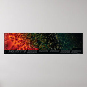 Den kosmiska webben poster