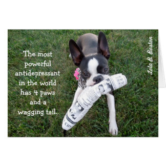 Den kraftigaste lyckodrogen…, TOMT KORT