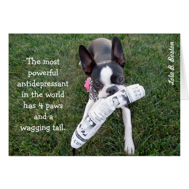 Den kraftigaste lyckodrogen…, TOMT KORT (Framsidan Horizontal)