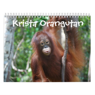 Den Krista Orangutandjungeln skolar Kalender