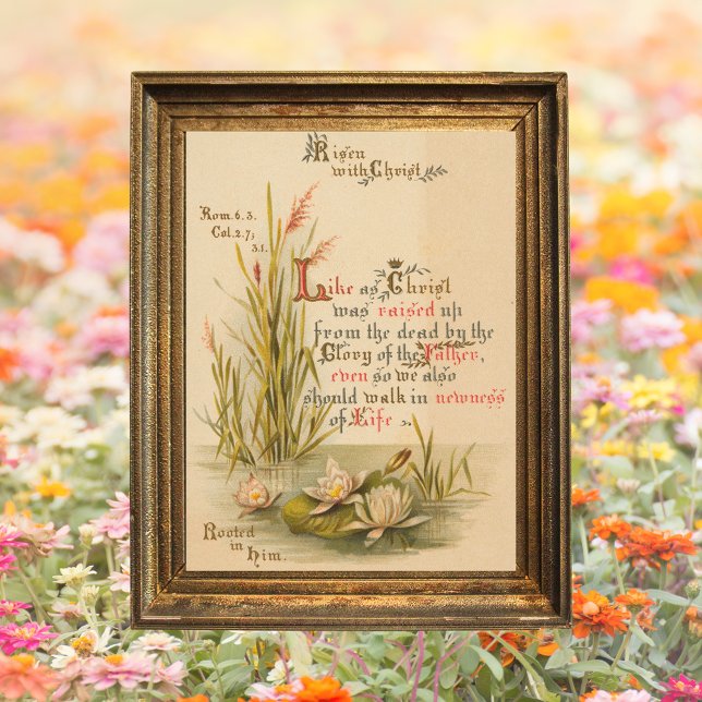 Den kristna bibeln Kristus är Risen Påsk Poster (Religious Christian Catholic Bible Verse Resurrection Jesus Christ is Risen Floral Easter Poster)