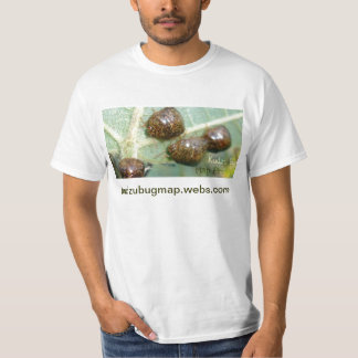 Den Kudzu krypkartan projekterar 1 Tee