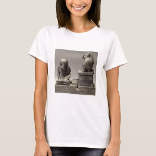 Den kungliga scribeNebmertuf handstilen under T-shirt