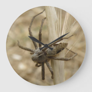 Den kusliga Crawly spindelväggen tar tid på Stor Klocka