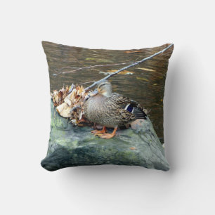 (Den kvinnliga) gräsandankan på Mossy sten kudder Kudde