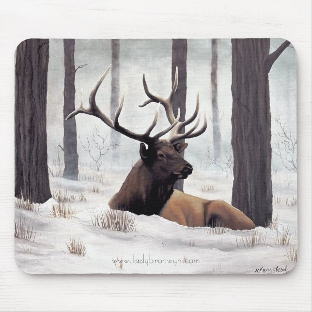 Den kyliga musen vadderar musmatta (Framsidan)