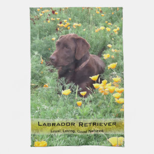Den Labrador hunden i den Kalifornien vallmon Kökshandduk
