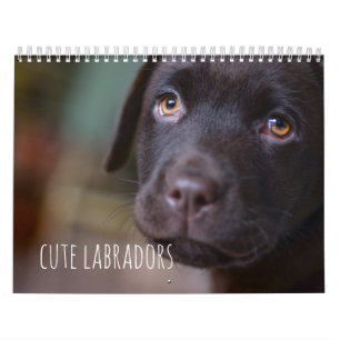 Den Labrador retrieveren förföljer kalendern - Kalender