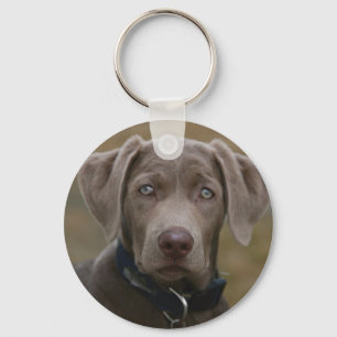 Den Labrador retrieveren i sällsynt tänder silve Nyckelring