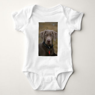 Den Labrador retrieveren i sällsynt tänder silver Tee Shirt