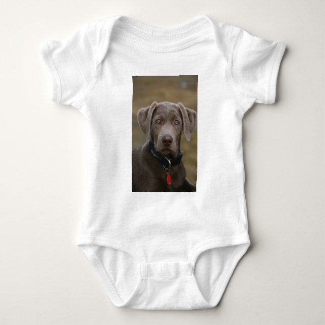 Den Labrador retrieveren i sällsynt tänder silver Tee Shirt (Framsida)