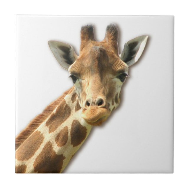 Den långa hånglade giraffet belägger med tegel kakelplatta (Framsidan)