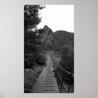 Den långa resan poster