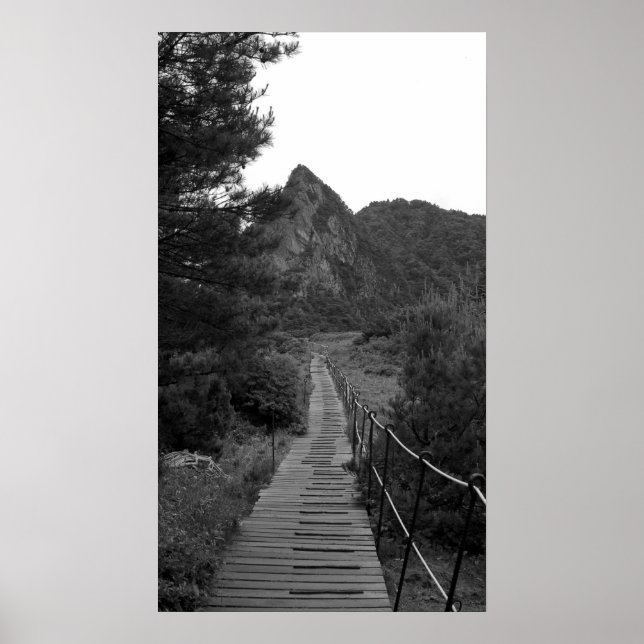 Den långa resan poster (Framsidan)